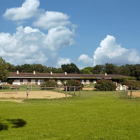 산타 크리스티나 다로 Residential Horse Club Costa Brava 호스텔 객실 사진