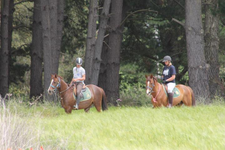 산타 크리스티나 다로 Residential Horse Club Costa Brava 호스텔 외부 사진
